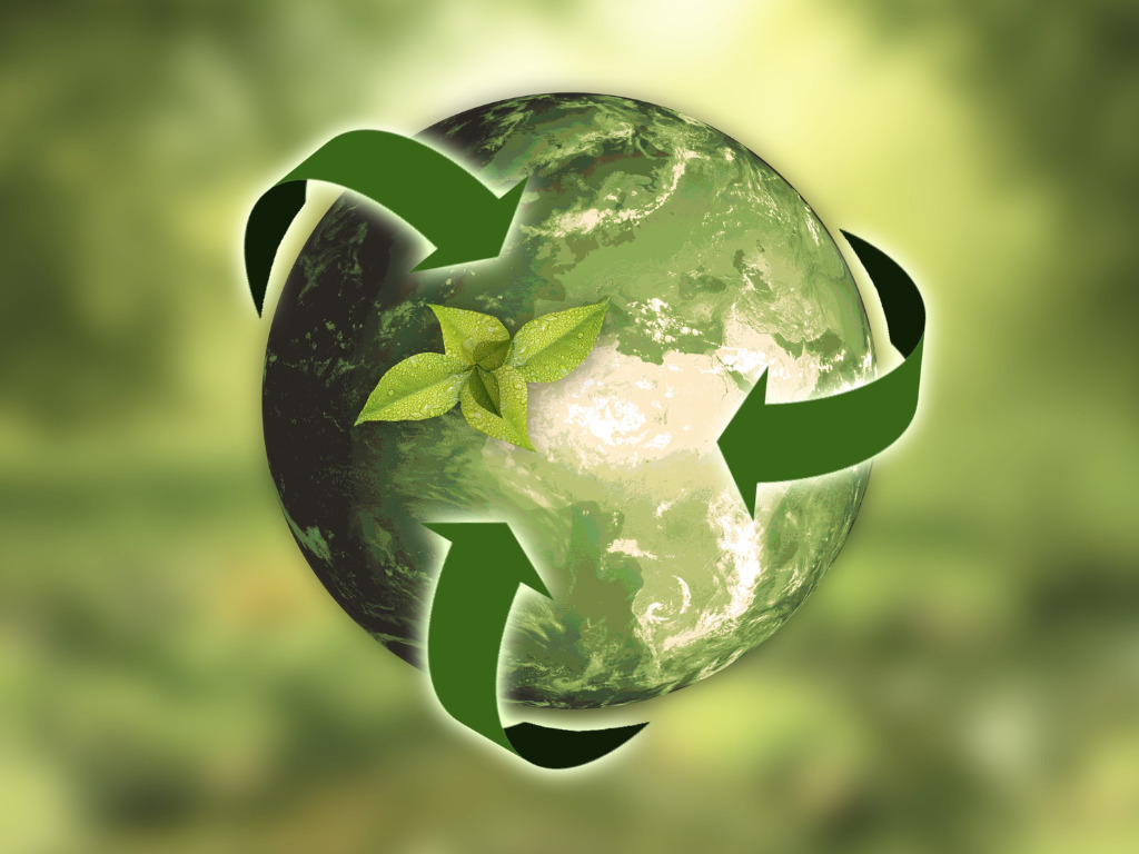 Our Sustainability (ESG) Focus Areas