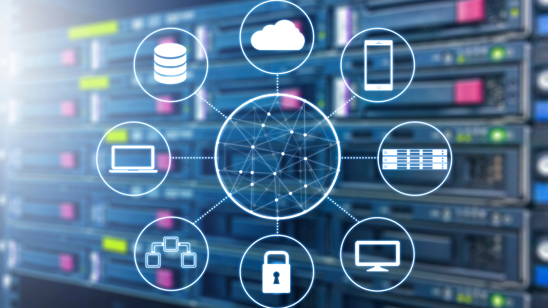 PFH Office of the CTO Newsletter – Issue 5 – January 2025